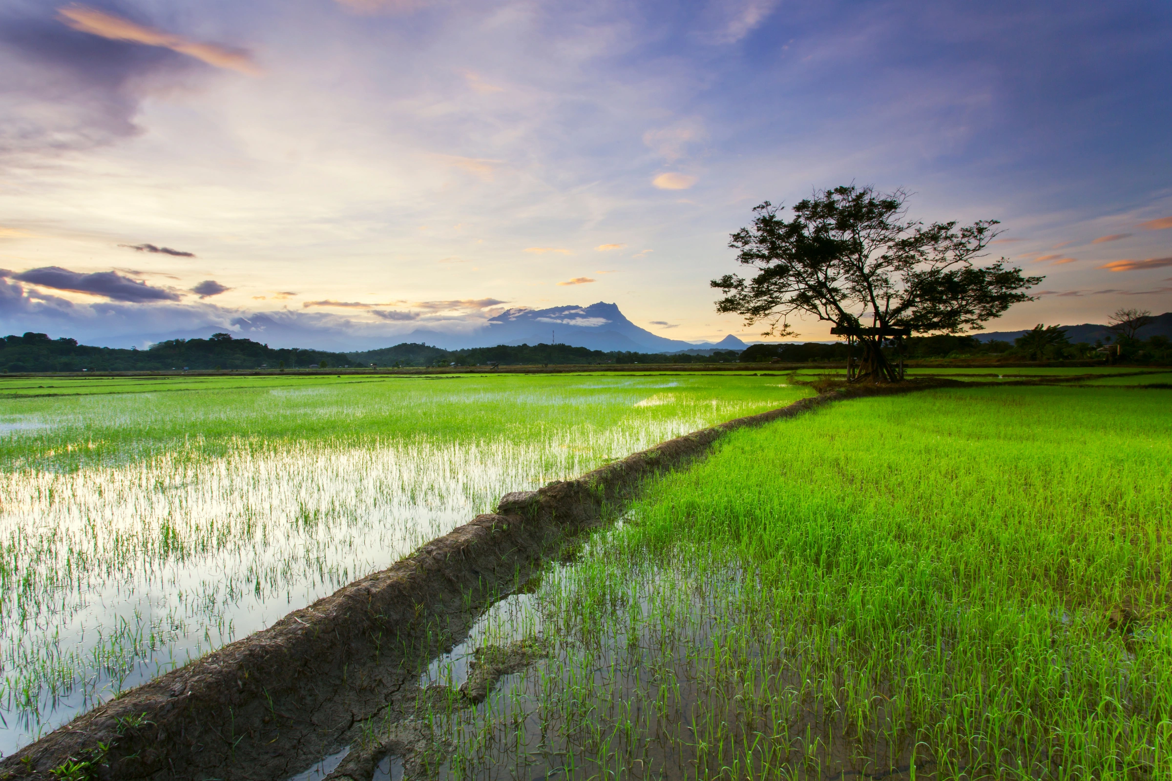 Kota_Belud,_Sabah[1].webp